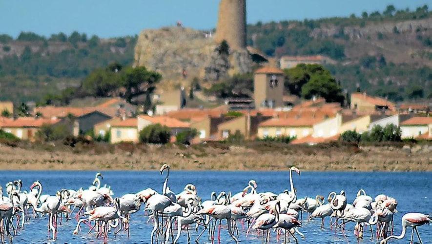 格吕桑La Mouette Qui Miaule公寓 外观 照片